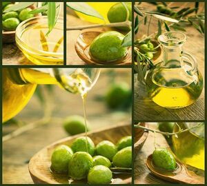 Фотообои Divino Decor/B коллекцияB-037Оливки 300х27