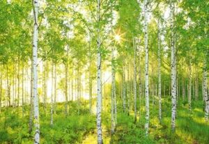 Фотообои KOMAR Воскресенье