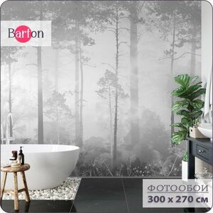 Фотообои на стену флизелиновые 3d Bartonwall Природа Туманный лес 300х270 см