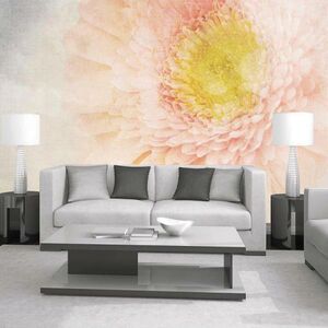 Обои Milan (Нежная гербера), M 320, 300х270 см