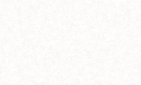 Обои виниловые VOG Collection Лофт VC8700-01