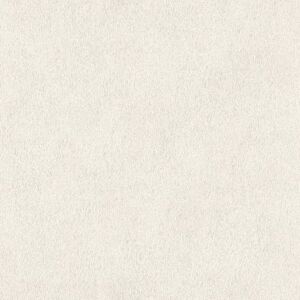 Виниловые обои Rasch 423204 African Queen