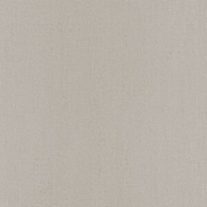 Виниловые обои Rasch 732146 Easy Passion